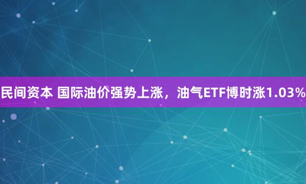 民间资本 国际油价强势上涨，油气ETF博时涨1.03%