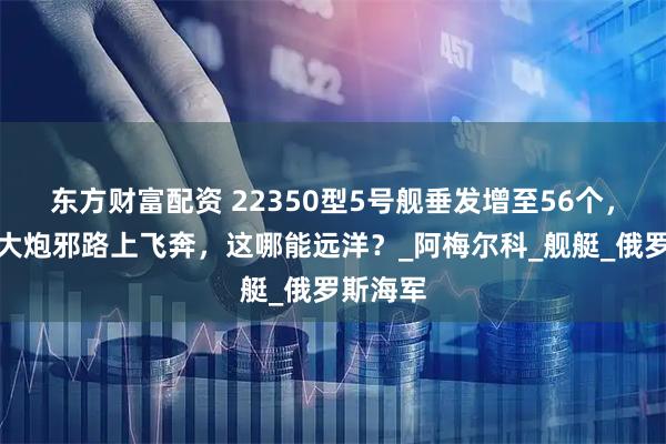 东方财富配资 22350型5号舰垂发增至56个，小舰扛大炮邪路上飞奔，这哪能远洋？_阿梅尔科_舰艇_俄罗斯海军