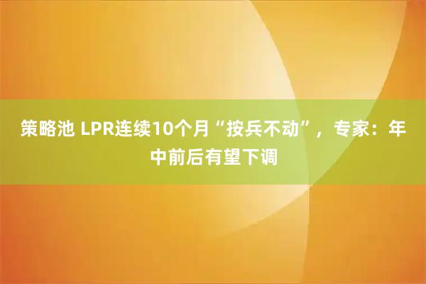 策略池 LPR连续10个月“按兵不动”，专家：年中前后有望下调